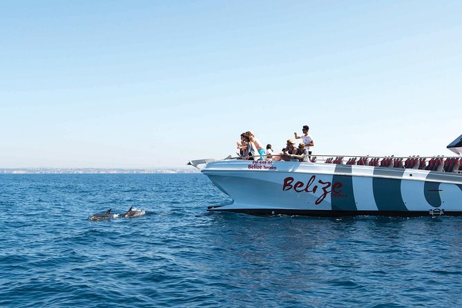Dolphin Watching and Cave Boat Cruise from Albufeira - Key Points