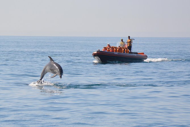 Dolphin Watching and Cave Tour from Vilamoura - Exciting Sea Adventure from Vilamoura to Dolphin Habitats and Sea Caves