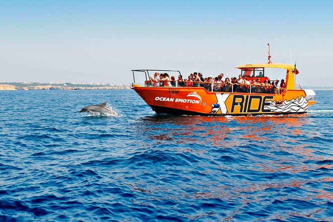 Dolphin Watching and Caves Cruise - Discover the Charm of the Algarve Coast on a Dolphin Watching and Caves Cruise