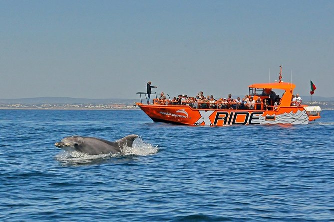 Dolphin Watching and Caves Cruise - Scenic Voyage Along the Algarve Coastline