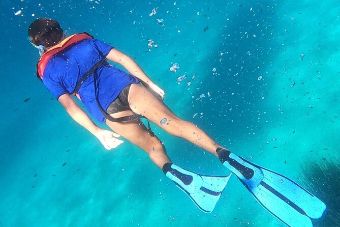 Dolphin Watching and Snorkeling in Figarolo in Sardinia - Comparing This Tour to Similar Sardinian Experiences