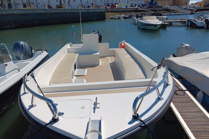 Dolphin watching and wildlife from Faro - Exploring the Ria Formosa Natural Park and Barrier Islands