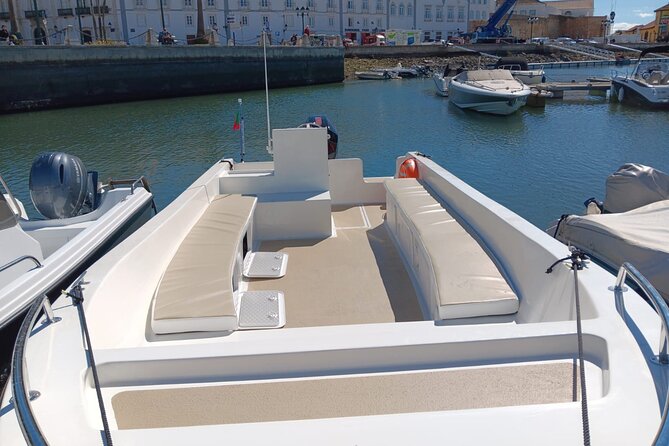 Dolphin watching and wildlife from Faro - Flexibility with Cancellation and Weather Conditions