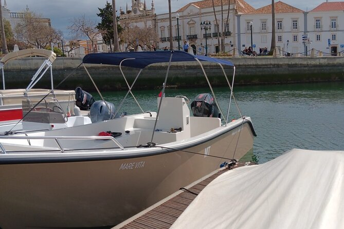 Dolphin watching and wildlife from Faro - Who Would Most Enjoy This Experience?