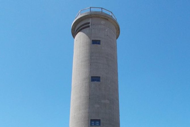 Dolphin Watching around Cape May - Wildlife and Nature Preserve Views