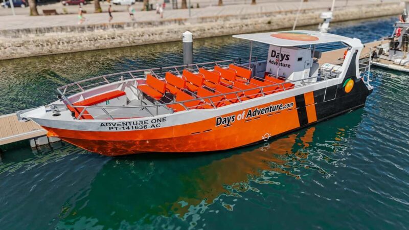 DOLPHIN WATCHING & BENAGIL CAVE TOUR FROM LAGOS - DUAL TRIP - Cruising Along the Algarve Coastline