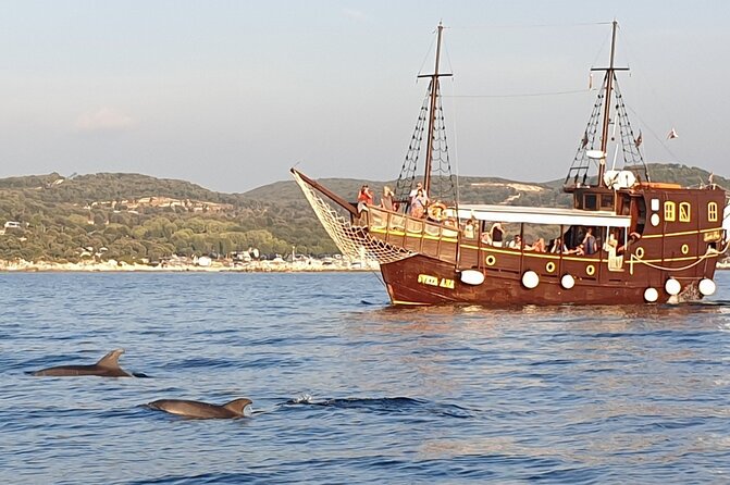 Dolphin Watching Boat Trip around Vrsar - Group Size and Tour Flexibility
