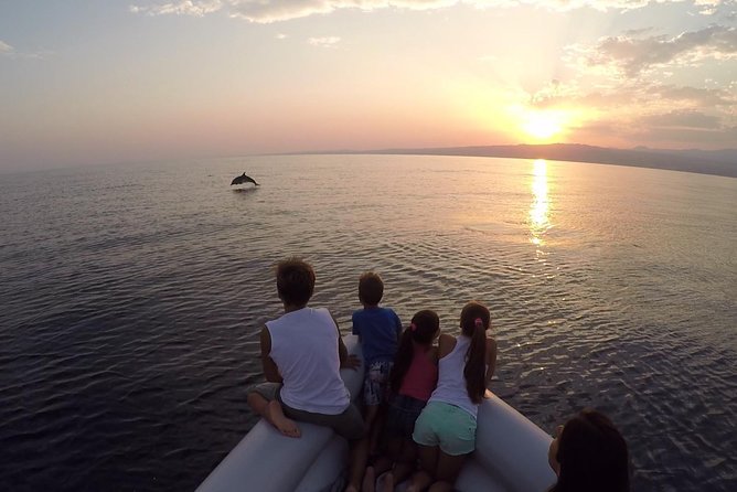 Dolphin Watching & Conservation - Dolphins in the Gulf of Catania - Starting Point at Onda Blu Pontili in Aci Castello