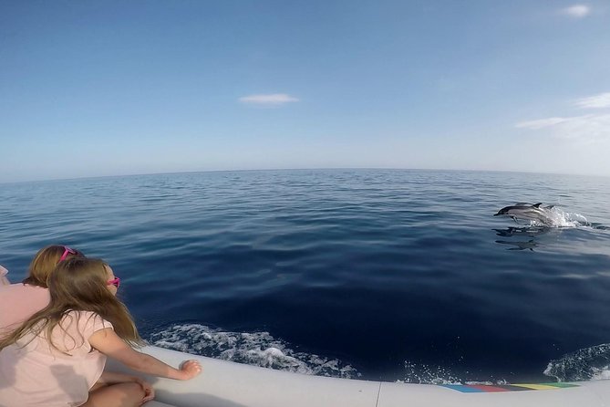 Dolphin Watching & Conservation - Dolphins in the Gulf of Catania - Scenic Coastal Route with Mount Etna in View