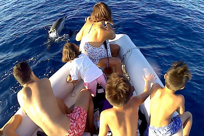 Dolphin Watching & Conservation - Dolphins in the Gulf of Catania - The Equipment and Educational Resources
