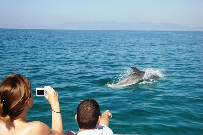 Dolphin Watching from Faro - Safety and Convenience Onboard