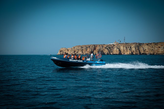 Dolphin Watching from Lagos with Marine Biologists - Learning About Marine Life from Expert Guides