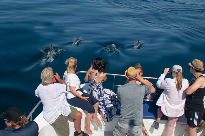 Dolphin Watching Half-Day Cruise from Lagos - The Departure Point at The Captains Nest in Lagos