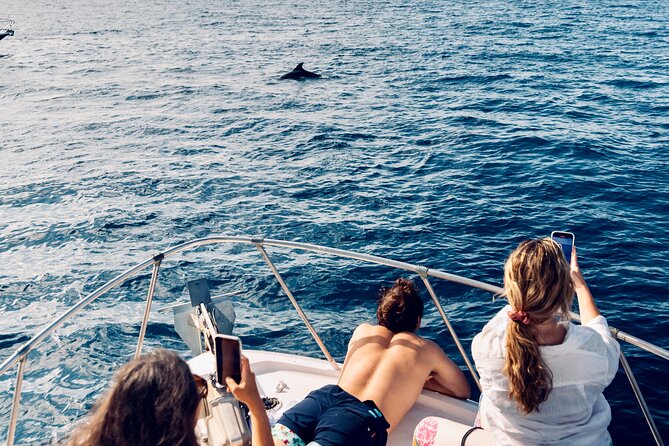 Dolphin Watching in Benalmadena - Practicalities: Booking, Group Size, and Accessibility