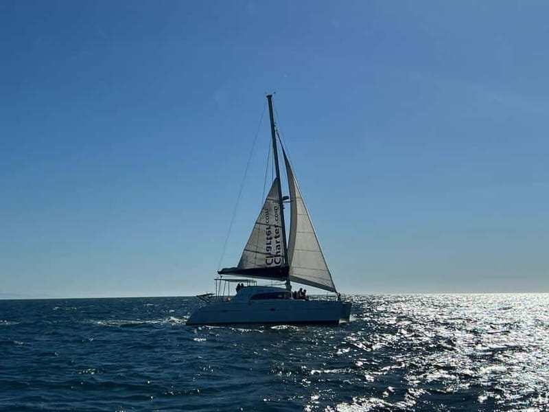 Dolphin watching in Estepona - Practical Details: Meeting Point, Accessibility, and What to Bring