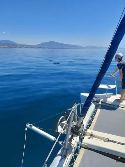 Dolphin watching in Estepona - Who Should Consider This Dolphin Watching Tour