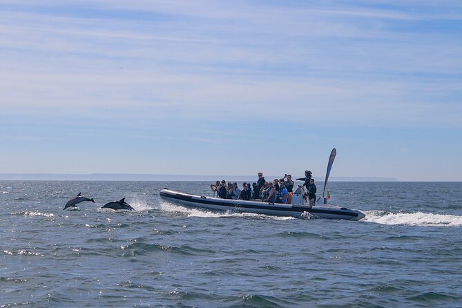 Dolphin Watching in Lisbon - Scenic Views of Lisbon Landmarks from the Water