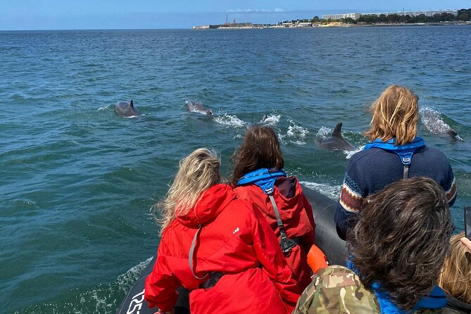 Dolphin Watching in Lisbon - The Eco-Conscious Aspect and Trash Removal Effort