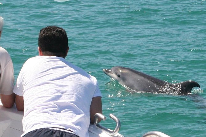 Dolphin Watching in the Wild - Half Day - Discovering Wild Dolphins Near Lisbon for $217.59