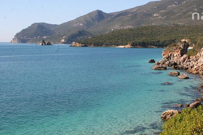 Dolphin Watching in the Wild - Half Day - Exploring Arrabida Natural Park in Setúbal