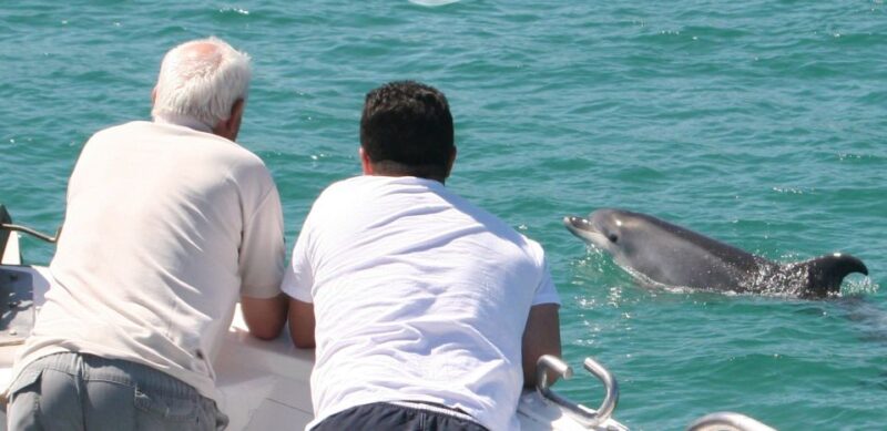 Dolphin Watching in the Wild - Half Day Tour - Final Thoughts on the Dolphin Watching Half-Day Tour