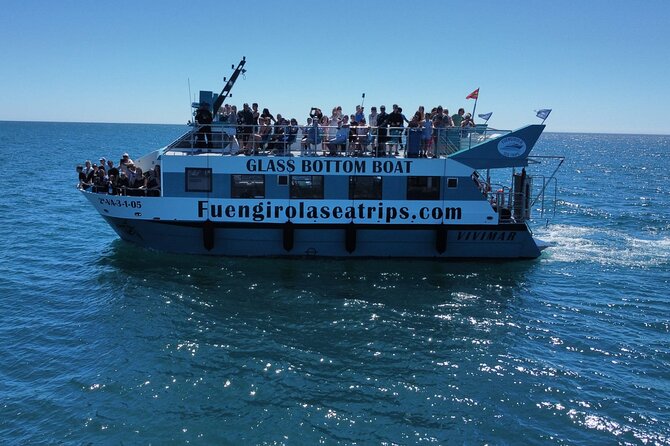 Dolphin watching on a Catamaran in Fuengirola - Key Points