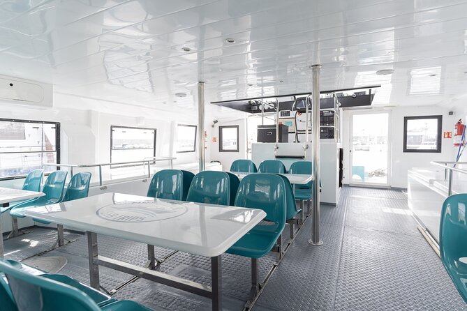 Dolphin watching on a Catamaran in Fuengirola - Reviews and Feedback Highlights