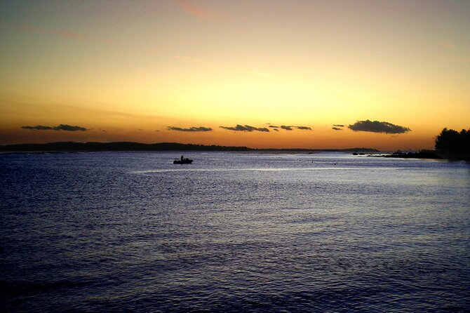 DOLPHIN WATCHING | Pula Boat - The Experience of Watching Dolphins at Sunset