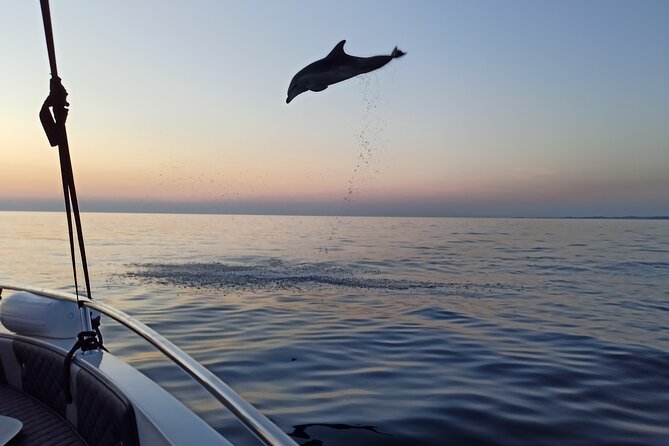 Dolphin Watching Sunset Speedboat Tour with Drinks in Rovinj - Scenic Sea Views and Rovinj’s Old Town