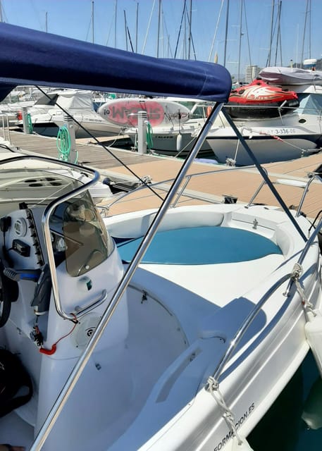 DOLPHIN WATCHING - Swimming and Sunbathing in the Open Sea