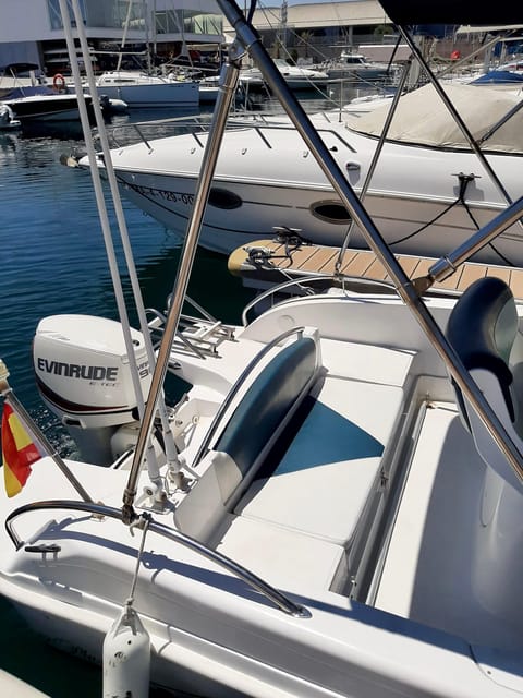 DOLPHIN WATCHING - Addressing the Limitations: The Boat Size