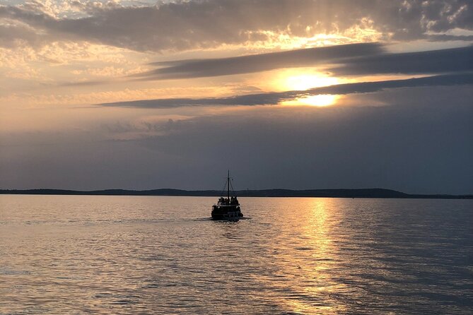 Dolphin Watching Tour  85% Chance  Drinks & Dinner Included - Onboard Dining with Choice of Menus