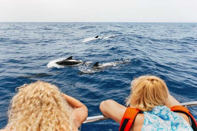 Dolphin Watching Tour with Snorkeling from Olbia - Food and Drinks Onboard