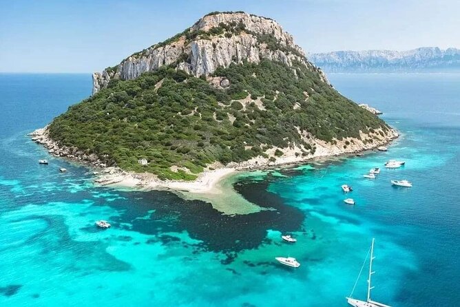 Dolphin Watching Tour with Snorkeling from Olbia - Weather and Itinerary Flexibility