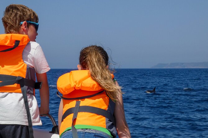 Dolphin Watching with Biologist in Arrábida Natural Park - Scenic Boat Ride and Wildlife Observation