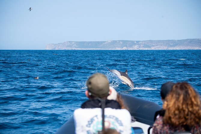 Dolphin Watching with Biologist in Arrábida Natural Park - The Guide: Knowledgeable and Passionate