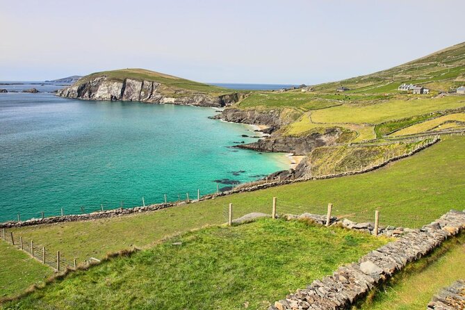 Dolphin & Whale Watching (4hrs) + Blasket Island Landing (3hrs) - Departing from Ventry Pier in County Kerry