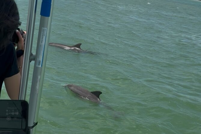 Dolphin Wildlife Cruise Fort Myers Beach - How This Tour Compares to Similar Experiences in Fort Myers
