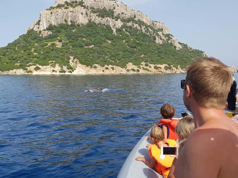 Dolphins: Dolphin Watching Tour and Capo Figari by Raft - Starting Point at Centro Immersioni Figarolo