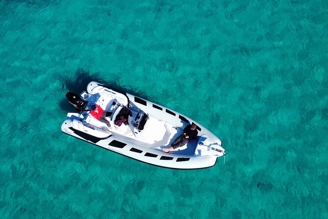 Dolphins Rib boat (up 6 people) Private - The Comfort and Features of the Private Rib Boat