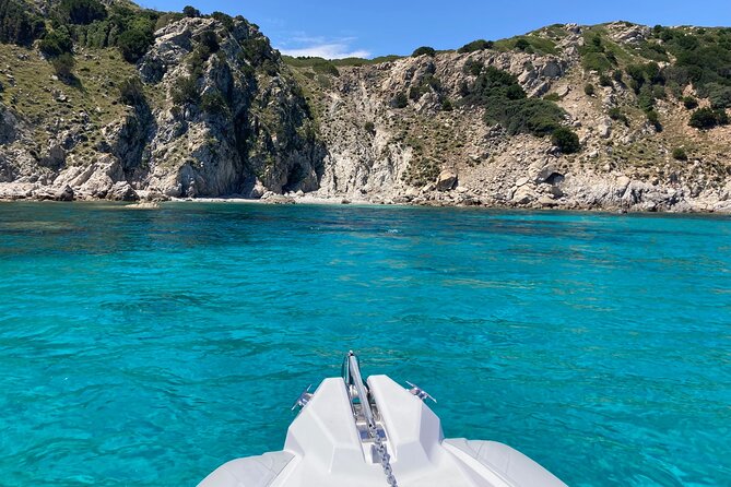 Dolphins Rib boat (up 6 people) Private - Stops at the Island of Figarolo and Cala Moresca
