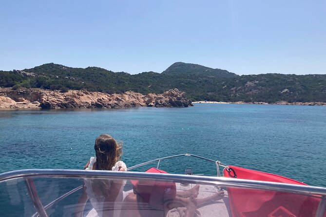 Dolphins Rib boat (up 6 people) Private - Opportunities for Snorkeling and Swimming in Crystal Waters