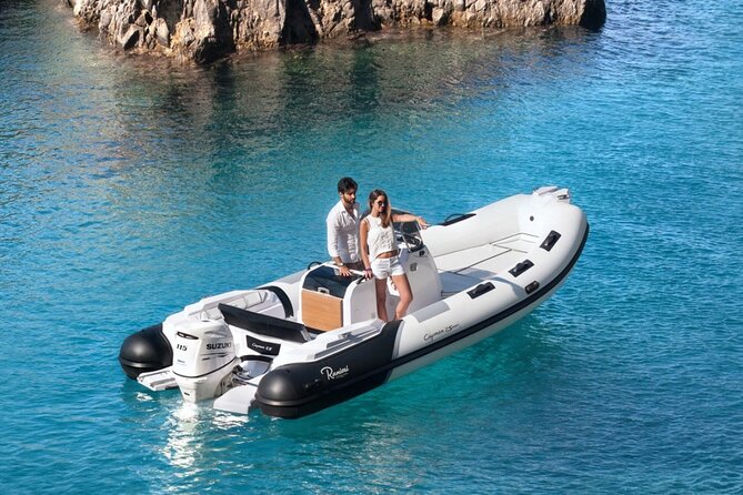 Dolphins Rib boat (up 6 people) Private - The Experience Provider: Ecosport Sardinia