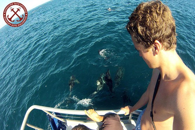 Dolphins Watching in the National Park Brijuni from Pula - Explore Dolphins and the Adriatic Coast with a 3-Hour Boat Tour from Pula