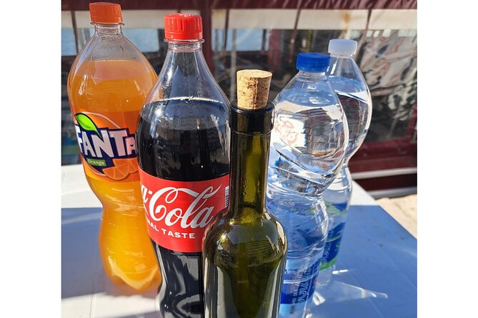 Dolphins Watching in the National Park Brijuni from Pula - Dolphin Sightings: Expectations and Realities