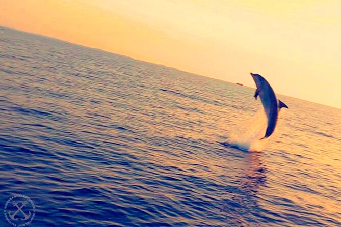 Dolphins Watching in the National Park Brijuni from Pula - Seating and Comfort Onboard