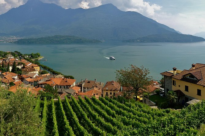 Domaso: Wine Tasting at the Winery on Como Lake - Practical Details: Meeting Point and Accessibility