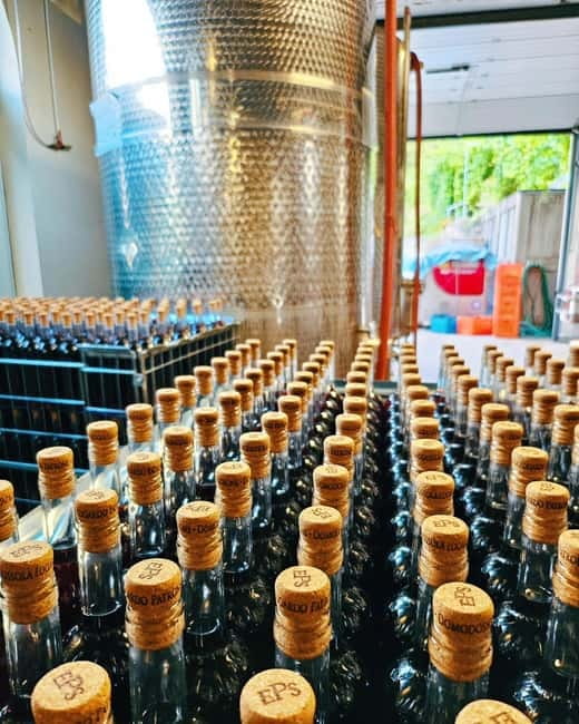 Domodossola: Savor Wines & Local Treats in a Scenic Vineyard - Savoring Local Foods and Regional Aromas