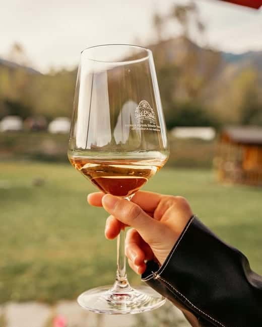 Domodossola: Savor Wines & Local Treats in a Scenic Vineyard - The Host and Atmosphere: Knowledgeable and Friendly