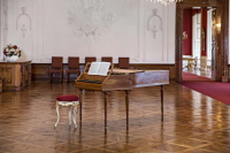 DomQuartier Salzburg: Date with Mozart! Afternoon concerts in the Residenz - Key Points